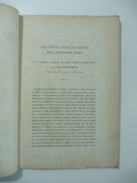 Sulla istologia normale e patologica delle cartilagini ialine. Studi ed esperimenti a contribuzione della patologia chirurgica delle malattie articolari